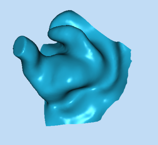 Ear Impression Service (3D scan in store)